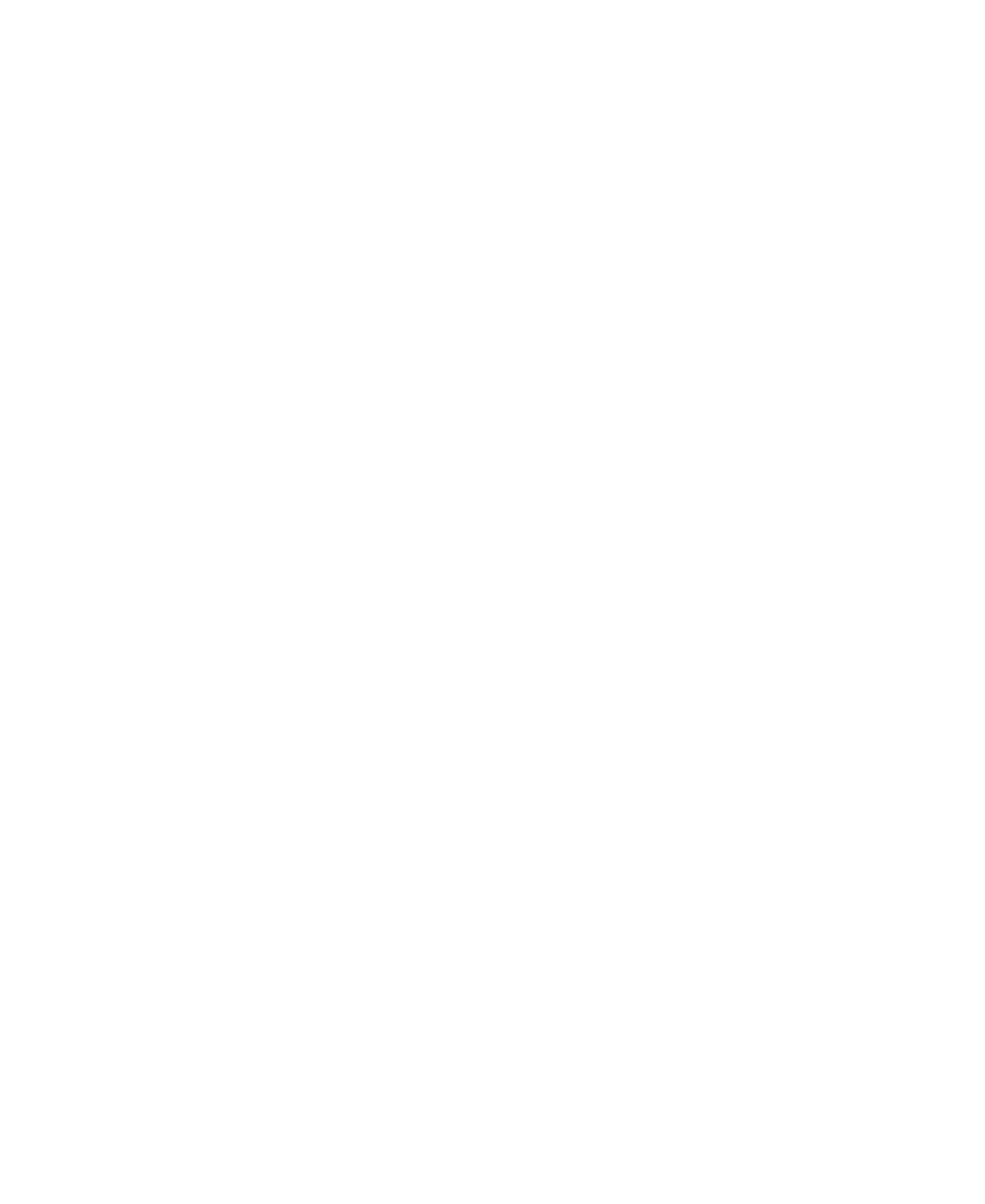 Star Citizen Logo